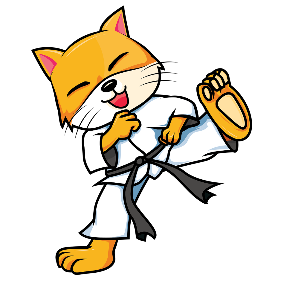 karate-4575114_1280.png