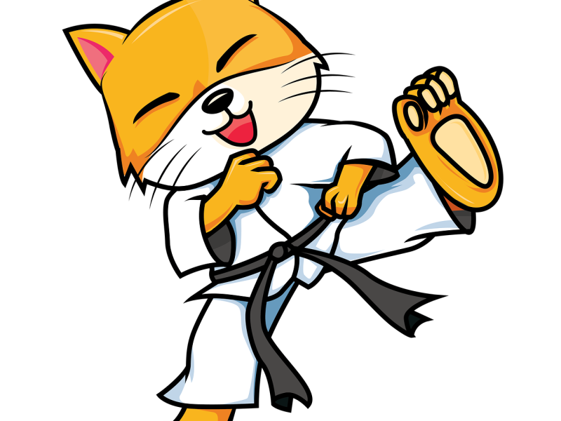 karate-4575114_1280.png